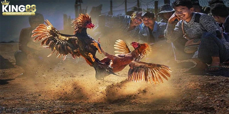 nhung-luu-y-quan-trong-de-tranh-rui-ro Những lưu ý quan trọng để tránh rủi ro